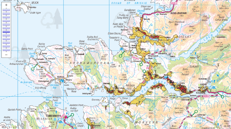 Forestry Commission rhododendron control areas