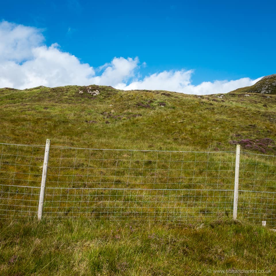 From inside out - open moorland to the east of the Laga Farm native woodland enclosed area