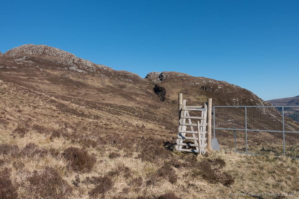 Ben Laga deer fence